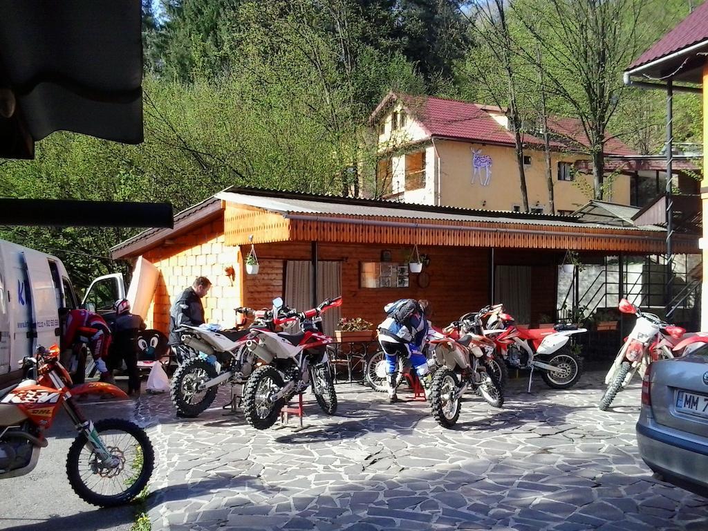 Complex Turistic Caprioara Hotel Nagybánya Kültér fotó