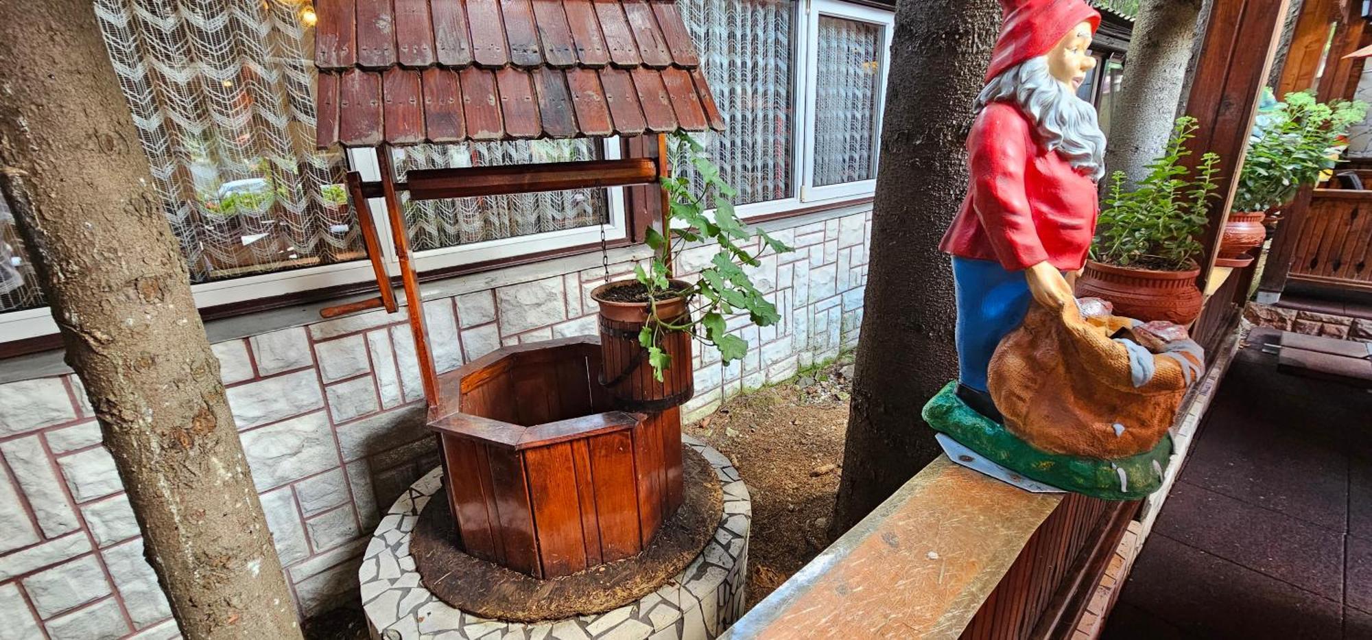 Complex Turistic Caprioara Hotel Nagybánya Kültér fotó